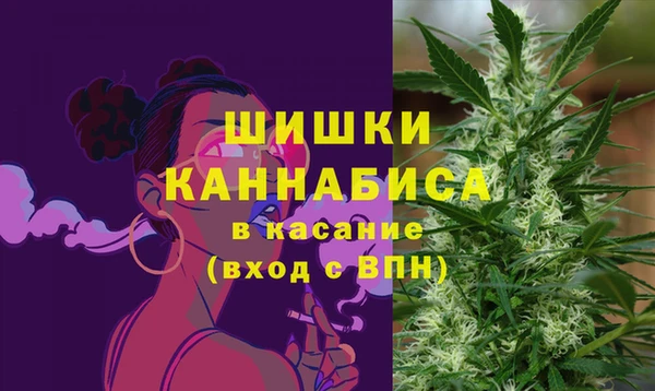 прущие грибы Куйбышев