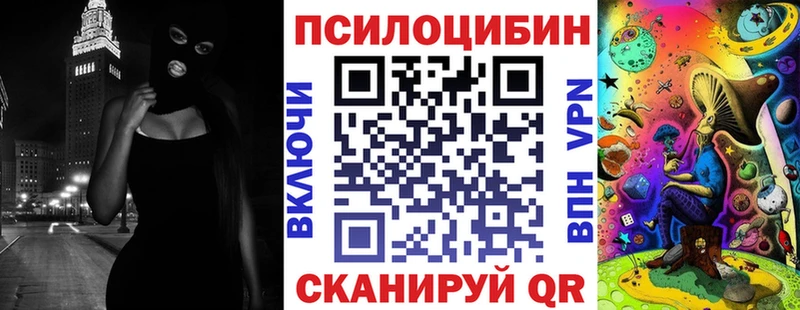 Псилоцибиновые грибы Psilocybine cubensis  купить наркотики цена  площадка формула  Новая Ладога 